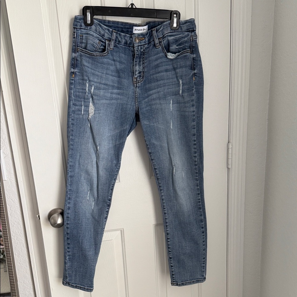 Studio Blue Distressed Blue Ankle Jeans